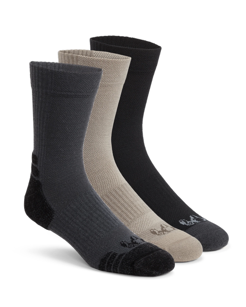 Merino Lightweight Performance Sock 3-Pair Pack | Multi