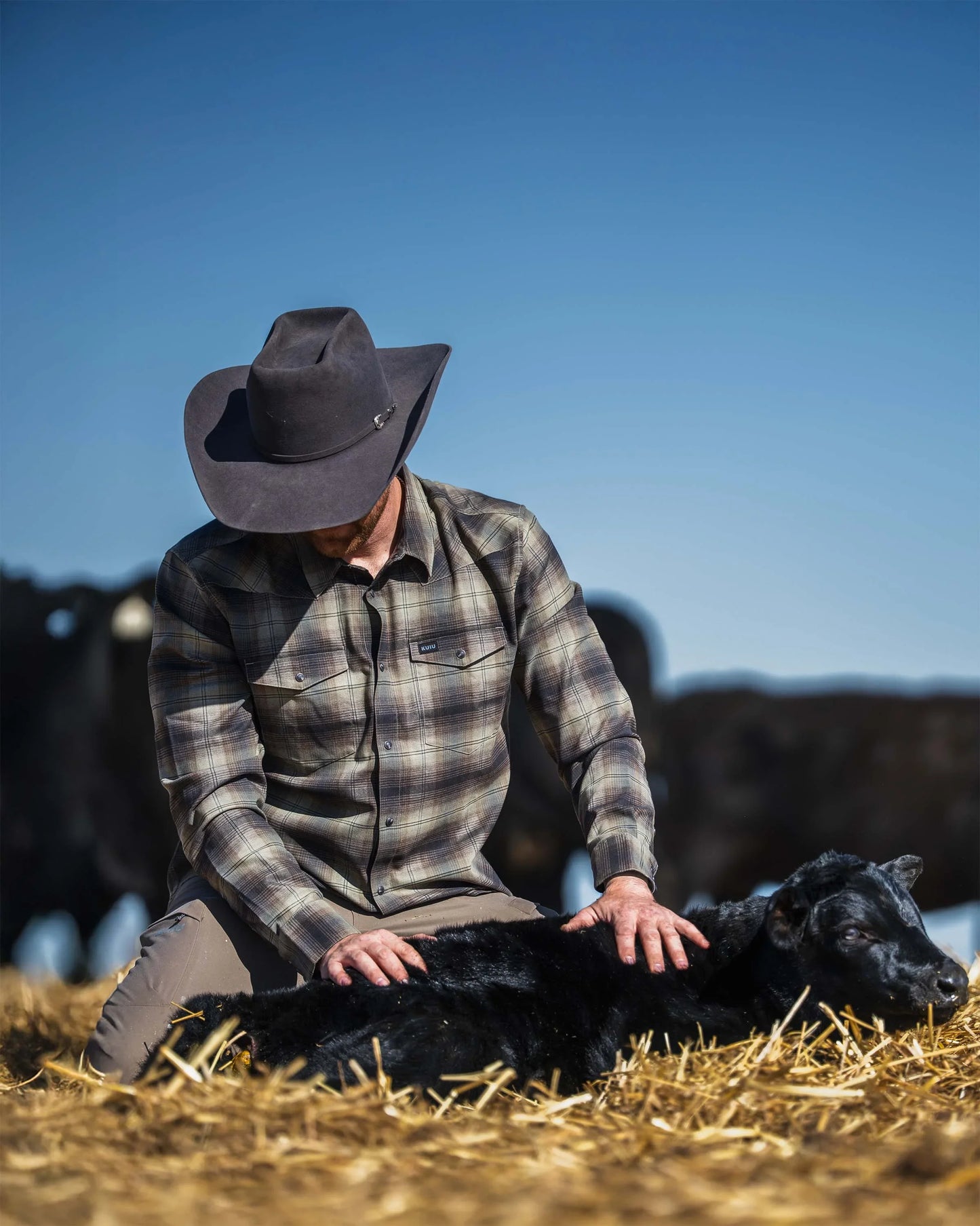 Laredo LS Shirt | Vias Ombre Plaid