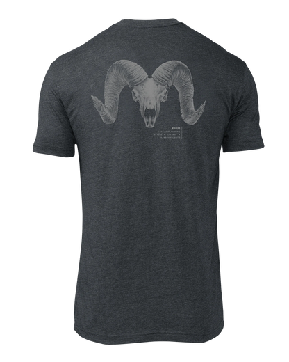 Nahanni Butte Inner Circle T-Shirt | Charcoal